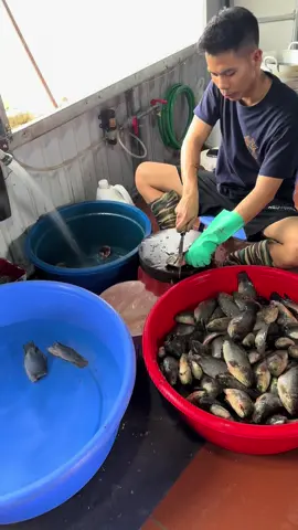 Lựa chọn cái nghề dạy trước cả gáy thứ 7 Chủ nhật không bao giờ được nghỉ nhưng tất cả đó là đam mê Có những nghề nhìn đơn giản nhưng lại nuôi sống biết bao gia đình. Một bát canh cá rô đồng ngon không chỉ là món ăn, mà còn là cả bí quyết, kinh nghiệm và cái tâm của người làm. Nếu bạn cũng đang muốn tìm cho mình một hướng đi bền vững, hãy thử bắt đầu từ những điều giản dị nhất. Xin mời các bác tham khảo canh cá rô đồng của nhà em. Biết đâu, đây không chỉ là một bữa ăn ngon mà còn là nguồn cảm hứng cho một hành trình mới. ❤️ nhận đào tạo dạy nghề liên hệ (037) 7434 234 có chỗ ăn chỗ ở cho học viên