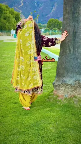 #food #fypシ゚ #usa🇺🇸 #pashto #fypdongggggggg اشنا چی په وعده دی اعتبار وکم کنه