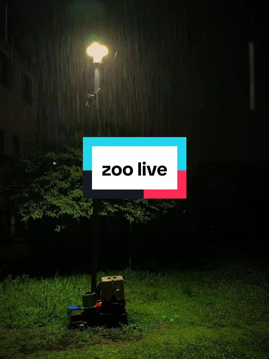 #visibilité #visibilite #viralllllll #débloquervisibilité #zoolife 