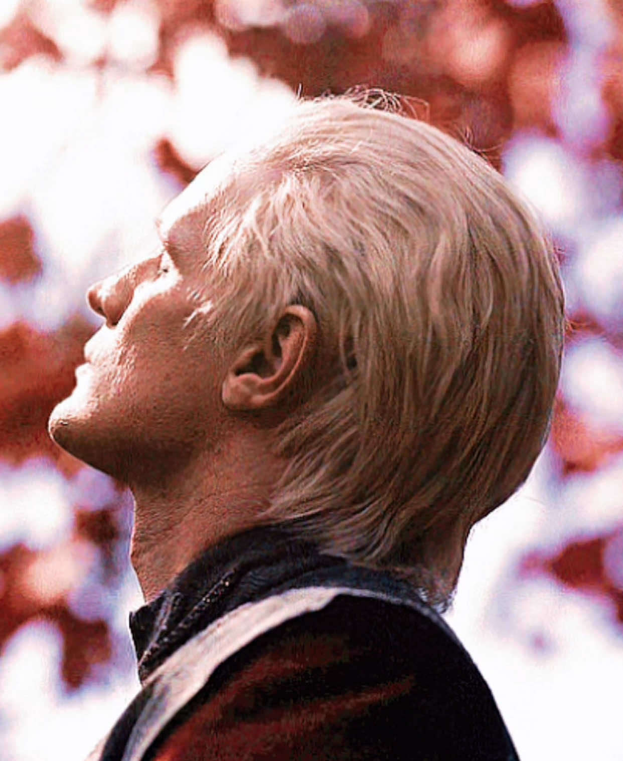 اميري #daemontargaryen #houseofthedragon #hotd #fyp 