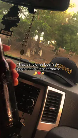 Es un verdadero temazo😮‍💨🍻 #elchulooooo #demisfavoritas❤🎶 #fyp #grupolaberinto #rolitaschidas 