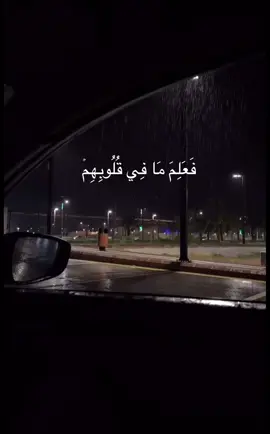 فَعَلِمَ مَا فِي قُلُوبِهِمۡ فَأَنزَلَ ٱلسَّكِينَةَ عَلَيۡهِمۡ🤍 #سورة #المنشاوي #قرآن_كريم #quran #viraltiktok 