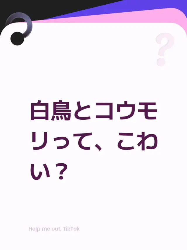 白鳥とコウモリって、こわい？