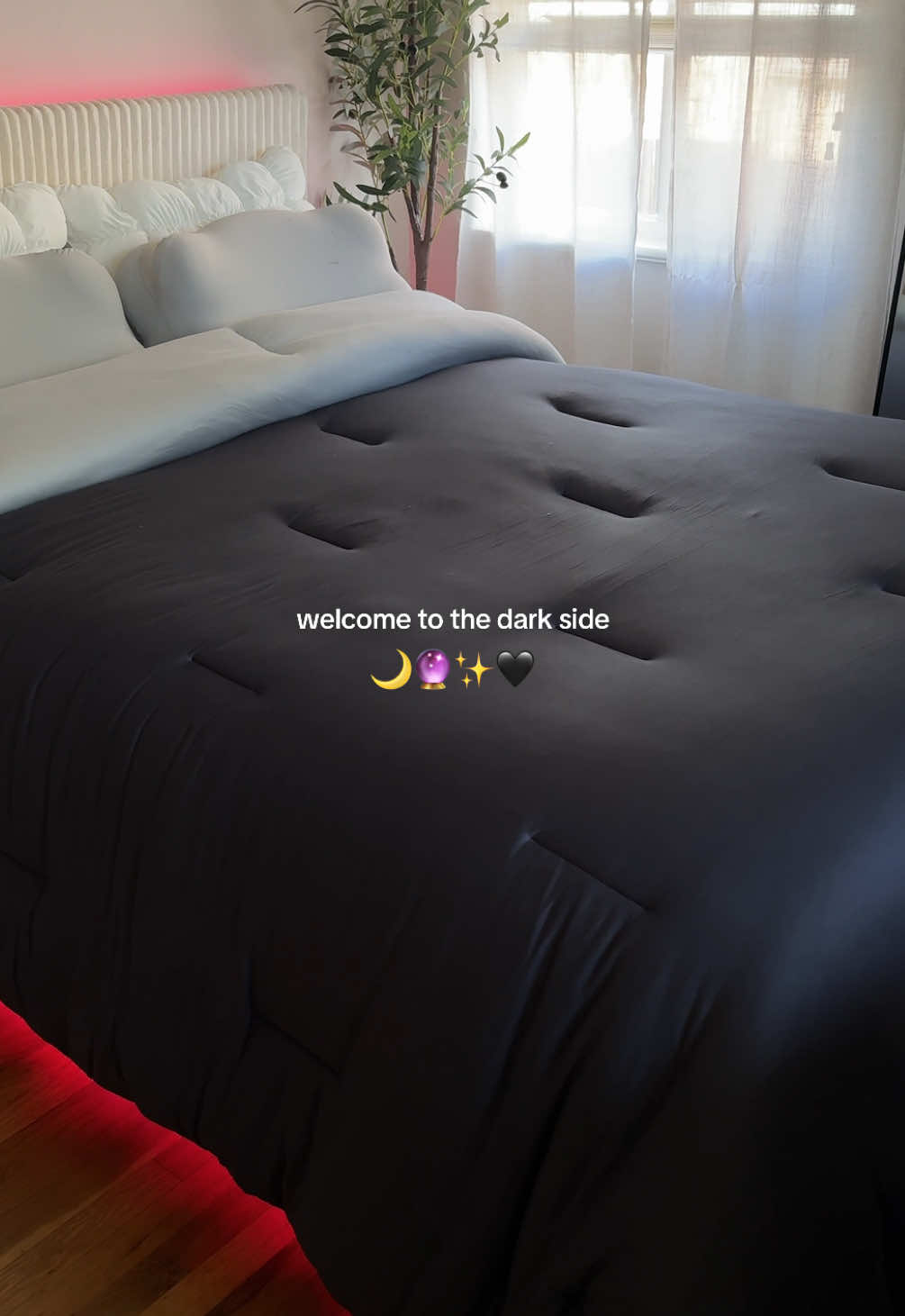 The MarshMellow Comforter in Midnight 🌙🔮✨🖤