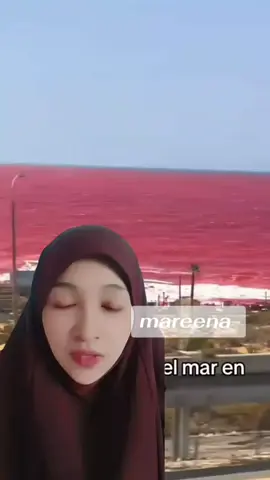 #Israel