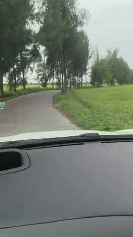 #khanbongthaibinh #xuhuongtiktok #chuyentamlinh #nhactamtrang 