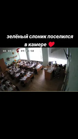 Тутор в профиле #camera #funny #prank #sniffcam