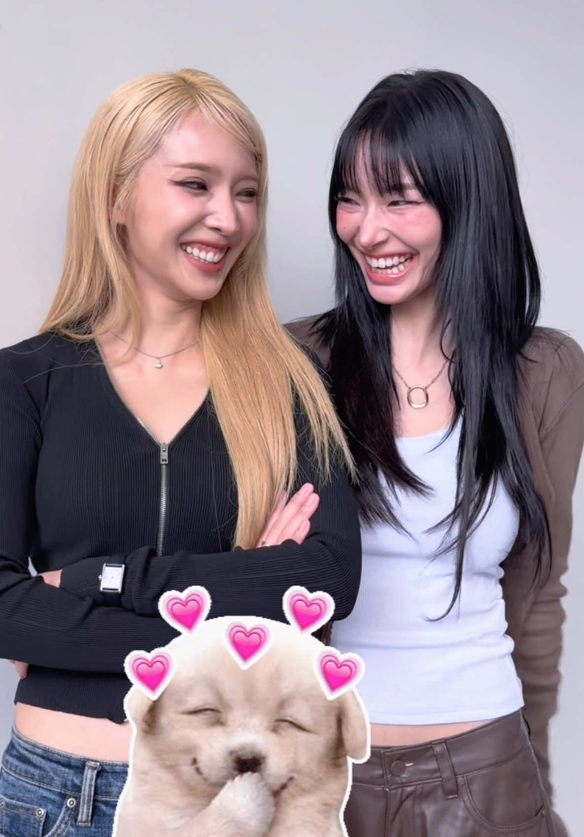 อยากจะพบเจอ JINGJING ในวันนั้น…ตอนนี้จะได้เจอแล้ว 💗🥹 เตรียมตัวให้พร้อม แล้วมาเจอกันใน JAN JINGJING BEWITCH YOU FANCON 🪄✨ 📅 21 พฤศจิกายน 2569 📍 Thunder Dome, Muang Thong Thani 🎫 เปิดกดบัตรออนไลน์ 19 ก.ย. 2569 เวลา 10.00 น. ทาง ThaiTicketMajor เท่านั้น และเปิดทุกช่องทาง 20 ก.ย. 2569 เวลา 10.00 น. เป็นต้นไป ✨ @Janhae  @Jingjingyu official  #JanJingJingFancon #janhae #jingjingyu #janjingjin #GMMTV