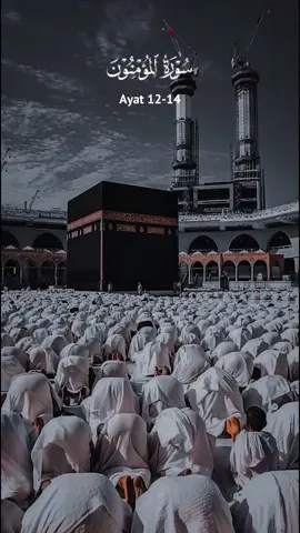 اللہ کی رحمت سے کبھی مایوس نہ ہوں۔ 🤍🤲🏻 #Islam #Allah #Quran #Muslim #IslamicReminder               