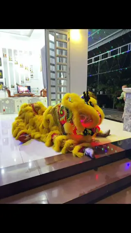 Đội lân giáo xứ Tân Hòa  đến thăm từng.nhà 14/9/2026#xuhuong #tiktok 