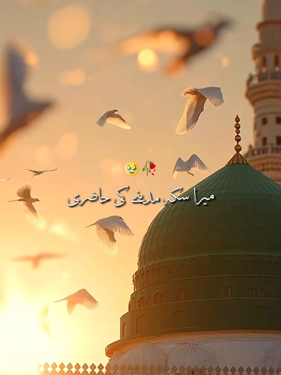 Mera sukh madina ki hazri 🥹🤲🏻🥀 ||  #naatsharif #naatstatus #foryourpage #foryou #rehman_writes56 