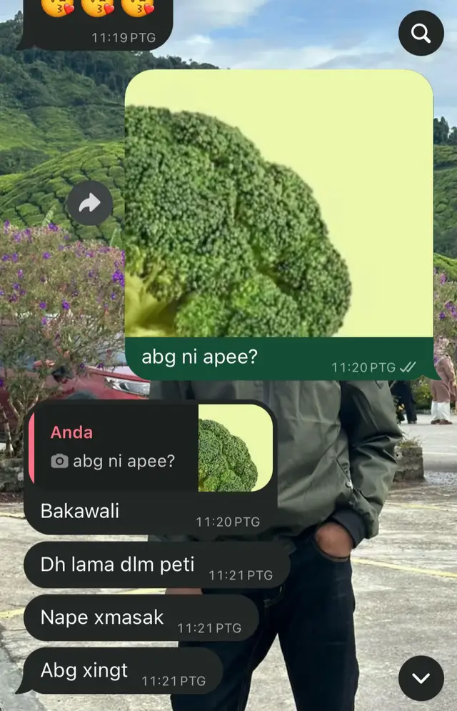 brokoli dia bahan cakap bakawali🤣 sakit perut gelak🤣 #fyp