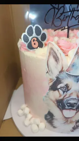 German shepherd cake 🐕‍🦺🩷 #germanshepherd #cake  #germanshepherdcake #birthdaycake #birthday 