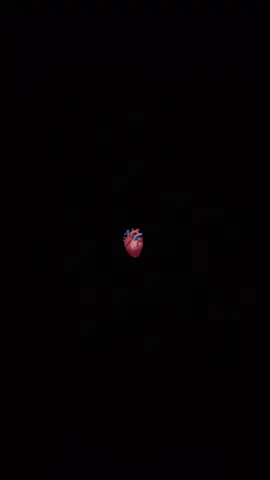 #CapCut 
