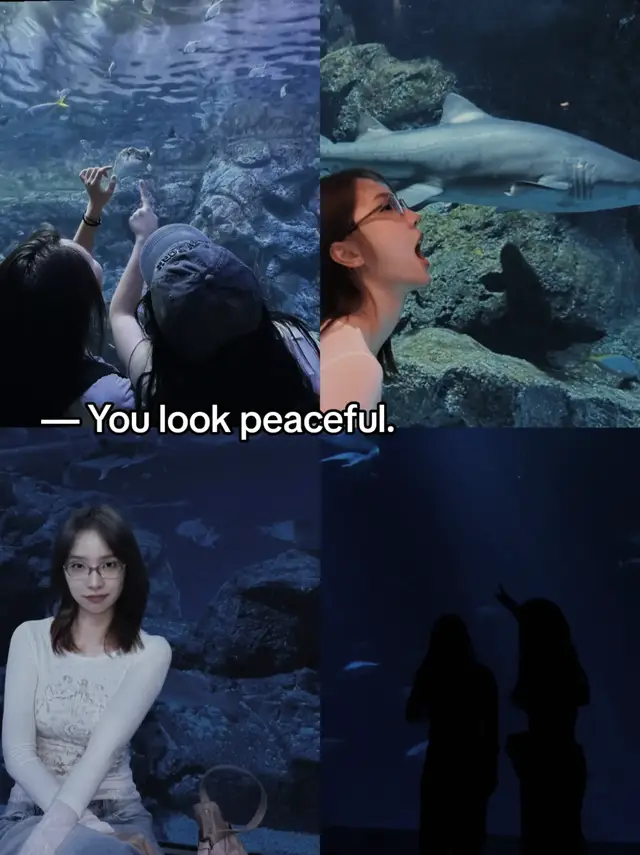Jingjing loved places where the world became quiet That was why she visited the oceanarium every Friday after school There was something comforting about walking through the enormous blue tunnel, surrounded by water, watching rays glide above her head and tiny fish move like stars. It was the only place where she didn't feel like she had to think about anything. Until one Friday, she met Janhae. Jingjing was standing in front of the biggest glass tank when someone stopped beside her. “Do you come here often?” She turned around. Janhae was holding a little blue notebook. “Every Friday.” Janhae smiled. “Then I guess I found the right place.” Jingjing raised an eyebrow. “You've never been here?” “Not until today.” “Why today?” Janhae looked through the glass. “Someone told me there's a place where everything feels slower.” Jingjing smiled. “There is.” “Can you show me?” So she did. They walked through every section together. Jingjing explained which fish were her favorites. Janhae pretended to understand the complicated names. They laughed when a tiny fish suddenly swam straight toward the glass. And when they reached the blue tunnel, Janhae stopped. “Wow.” Jingjing smiled. “I told you.” Janhae looked around. Then she looked at Jingjing. “You're right.” After that, Janhae started coming every Friday too. They created their own little routine. Jingjing would wait near the entrance. Janhae would bring two drinks. They'd walk slowly through the exhibits, sharing stories about their week. Sometimes they talked for hours. Sometimes they simply sat in front of the glass and watched the water move. One afternoon, Jingjing noticed Janhae drawing in her notebook. “What are you drawing?” “Nothing.” “Let me see.” “No.” “Janhae.” “Absolutely not.” Jingjing tried to grab it, laughing, but Janhae held it away. Eventually, she gave up. “Fine. Keep your secrets.” Janhae smiled. “Maybe someday.” A few weeks later, Jingjing finally saw the drawing. It wasn't a fish. It wasn't the ocean. It was her. Sitting beneath the blue lights, smiling at the glass. Jingjing looked at Janhae. “You drew me.” Janhae became embarrassed. “I did.” “Why?” Janhae looked down at her notebook. “Because I like the way you look when you're happy.” Jingjing's heart skipped. “And I'm happy here?” Janhae nodded. “You look peaceful.” Jingjing smiled. “I think that's because you're here.” They stood quietly beneath the blue glow. Then Jingjing reached for her hand. Janhae looked surprised. “You know,” Jingjing whispered, “I used to come here because I wanted to escape everything.” “And now?” “Now I come because I know I'll find you.” Janhae smiled. “That's a pretty good reason.” From that day on, their Fridays changed. They took silly pictures beneath the blue lights. They bought matching keychains from the gift shop. They wrote little wishes on pieces of paper and kept them inside Janhae's notebook. One evening, before leaving, Jingjing stopped in front of the biggest tank. “Janhae?” “Hmm?” “If you could live anywhere, where would you go?” Janhae thought about it. “Somewhere quiet.” “By the ocean?” “Maybe.” “With someone?” Janhae smiled. “Definitely.” Jingjing looked at her. “Who?” Janhae gently squeezed her hand. “You know who.” Jingjing laughed. “You're getting brave.” “Only with you.” The lights around them reflected across the glass, turning everything into shades of blue. And for a moment, it felt like they were standing underwater, completely separated from the rest of the world. Jingjing rested her head on Janhae's shoulder. “Promise me something.” “What?” “Whenever life gets too loud…” Janhae looked at her. “We come back here.” Jingjing smiled. “Together?” “Always.” And they kept that promise. Years later, whenever they walked through that same blue tunnel, Jingjing would remember the girl who once asked to see the world through her eyes. And Janhae would remember the place where she first realized that sometimes, you don't need to escape from the world You just need to find someone who makes it feel peaceful Someone who feels like home… even in the deepest blue #janjingjing #wlw 