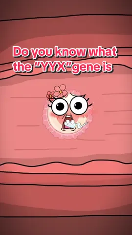 Do you know what the “YYX”gene is?😨🥹😂🫣#funny 
