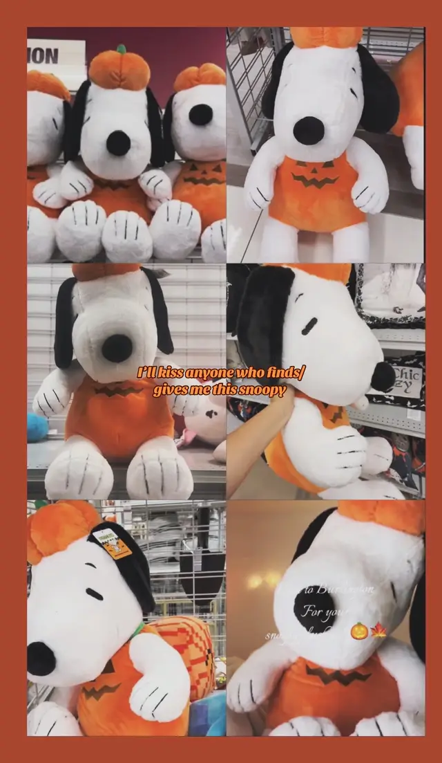 #need #willpayyou #getitforme #snoppylover #snoppy 