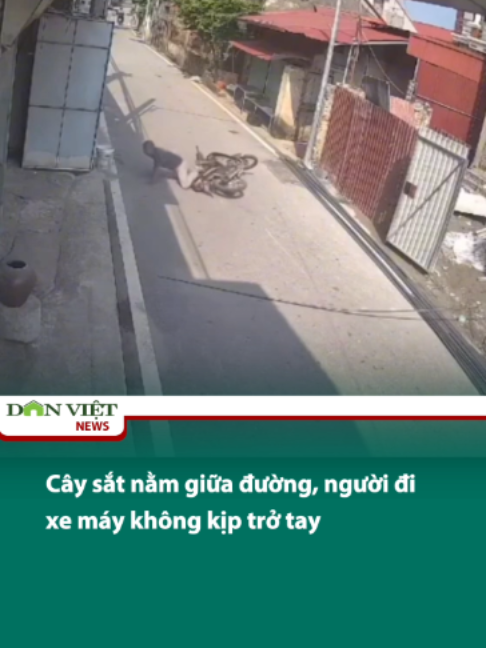 Cây sắt nằm giữa đường, người đi xe máy không kịp trở tay #tiktoknews #onhaxemtin #tiktokdieuky #danviet