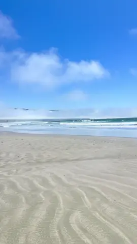#california #cuh