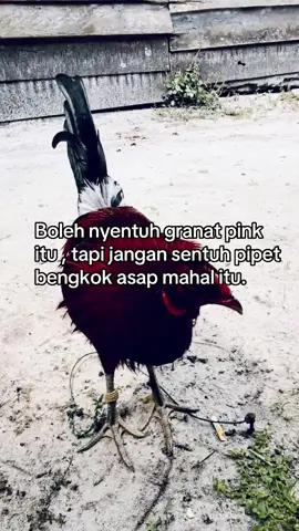 #fyppppppppppppppppppppppp #fyp 