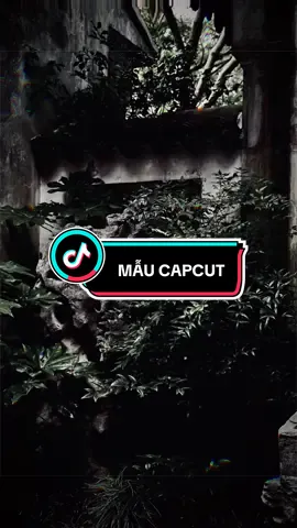 Nhạc này hay và cuốn quá nè……..#capcut #pioneertemplate #nhachaymoingay #capcutpioneer #tranviet_09 