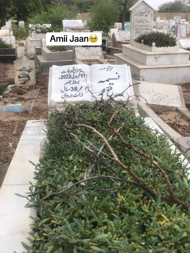 Miss you amii jaan 🥹🥹🥹🫶🏻. For you page 💯views jgrr❤️🫶🏻@Brھnd01❤️‍🔥 @chotaa Pagal☠️ @LITTLE JR 11 🤙🔺 