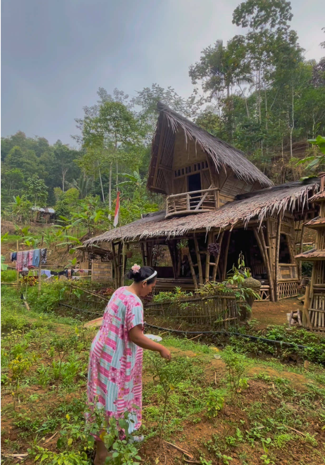 Makan sama karedok leunca #saunggulamadu #saungbambu #saungdikakigunung #suasanapedesaan #gulamadu 
