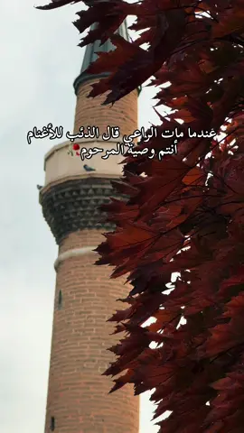#تصويري_احترافي_الاجواء👌🏻🕊😴 #تصميم_فيديوهات🎶🎤🎬 #قونيا________________قونيا😌💙 