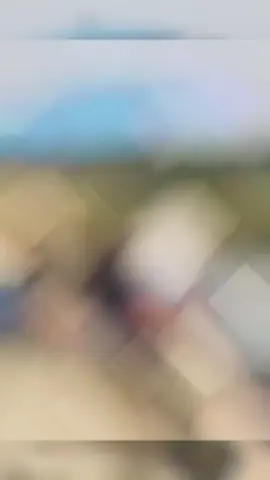Bỏ thời gian đầu tư vào câu cá đi anh em ! 