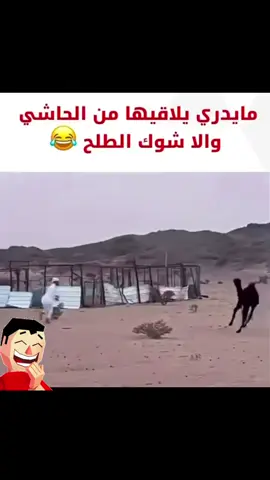 #هشتاڨاكثرمشاهدات2026مليارمليار 