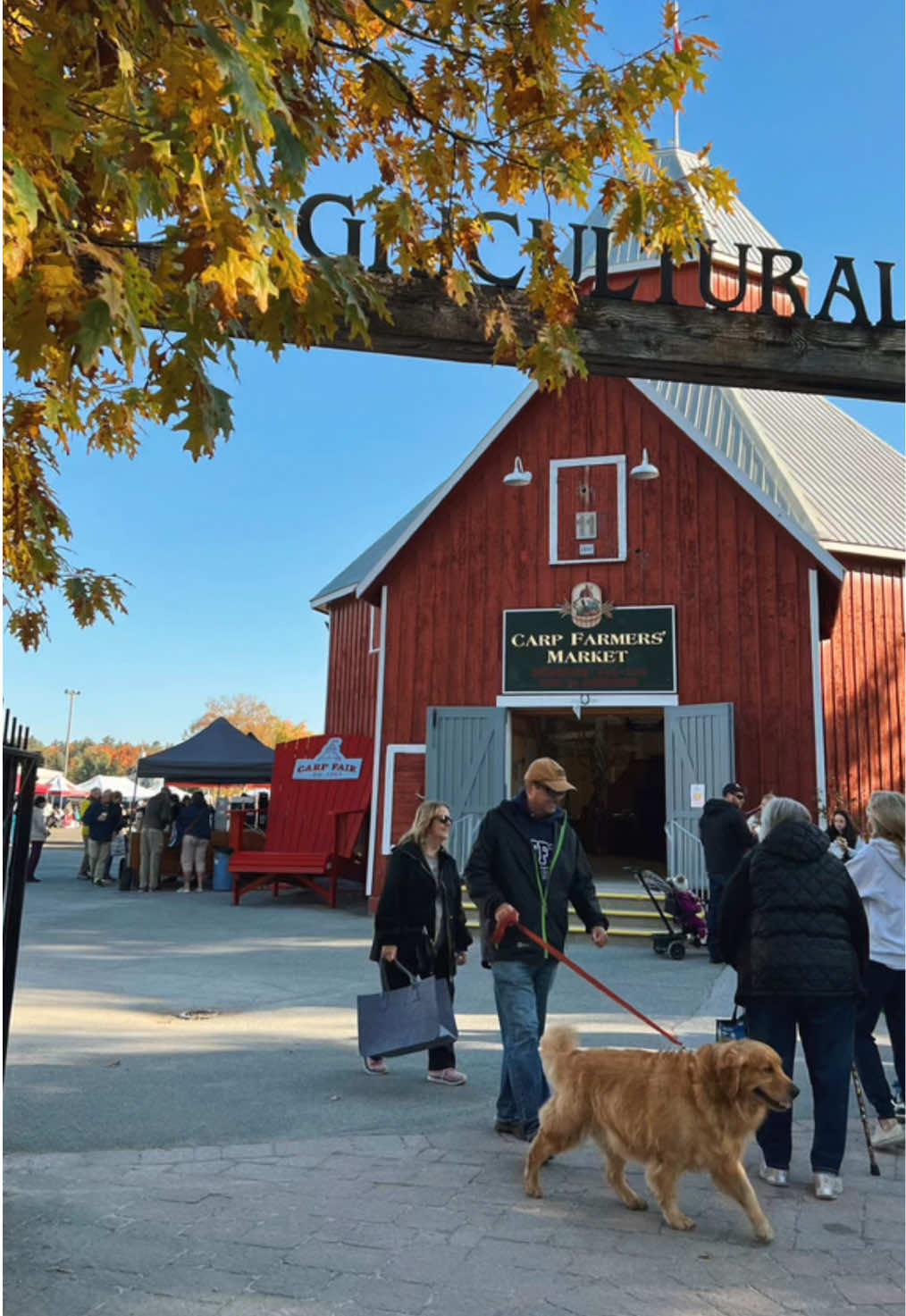 Fall is in the air at the Carp Farmers’ Market! 🍂 Join our 85+ local vendors Saturdays from 8am-1pm as we celebrate the fall season with fun fall themed activities for the whole family. With live music, free admission and free parking, a morning spent with us is the perfect way to start your weekend. And our market runs until the end of October so that’s 5 fall Saturdays that you won’t want to miss 🧑‍🌾  Read on for more info about our October Markets!  📍 Carp Farmers’ Market (3790 Carp Rd) 🗓️ Saturdays from 8am to 1pm (Closed Sept. 26th during the Carp Fair) 🎟️ FREE parking & FREE admission October Markets: - October 3: Harvest Celebration! 🍂 Celebrate the bountiful fall harvest with our local vendors. Featuring fall displays and fall themed activities for kids. Final day for our Thanksgiving Raffle & Food Drive 🧺 - October 10: Thanksgiving Market 🦃 Pick up your Thanksgiving meal fixings from our local vendors. - October 17: KIDS’ CLUB paint your own ceramic ghost with Meg from Meg’s Pottering 👻 - October 24: Pumpkin Day 🎃 Pumpkin carving workshop (B.Y.O.P.) - October 31: Halloween Spook-Tacular Market! 💀 Our popular Halloween Market is back with trick-or-treating from our vendors booths, spooky decorations and more all happening at our last market of the regular season 🍭 Mark those calendars! We hope to see you at the market soon 💛 Our info ⤵️ 📍 Carp Fairgrounds - 3790 Carp Rd.  🗓 Saturdays May-Nov. 8am-1pm 🧑‍🌾 100% producer-only farmers’ market ⭐️ Voted Ottawa’s Best Market 2025 🎶 Live music 🍴 International food court 🎟 Free parking & free admission  💲 Cash, debit & credit ♿️ Accessible  🐕 Pet friendly  ☀️ Open rain or shine 📸: @carpfarmersmarket All photos & videos taken by the Carp Farmers’ Market. Please credit if reposting. #carpfarmersmarket #farmersmarket #ottawa #fyp #fall 