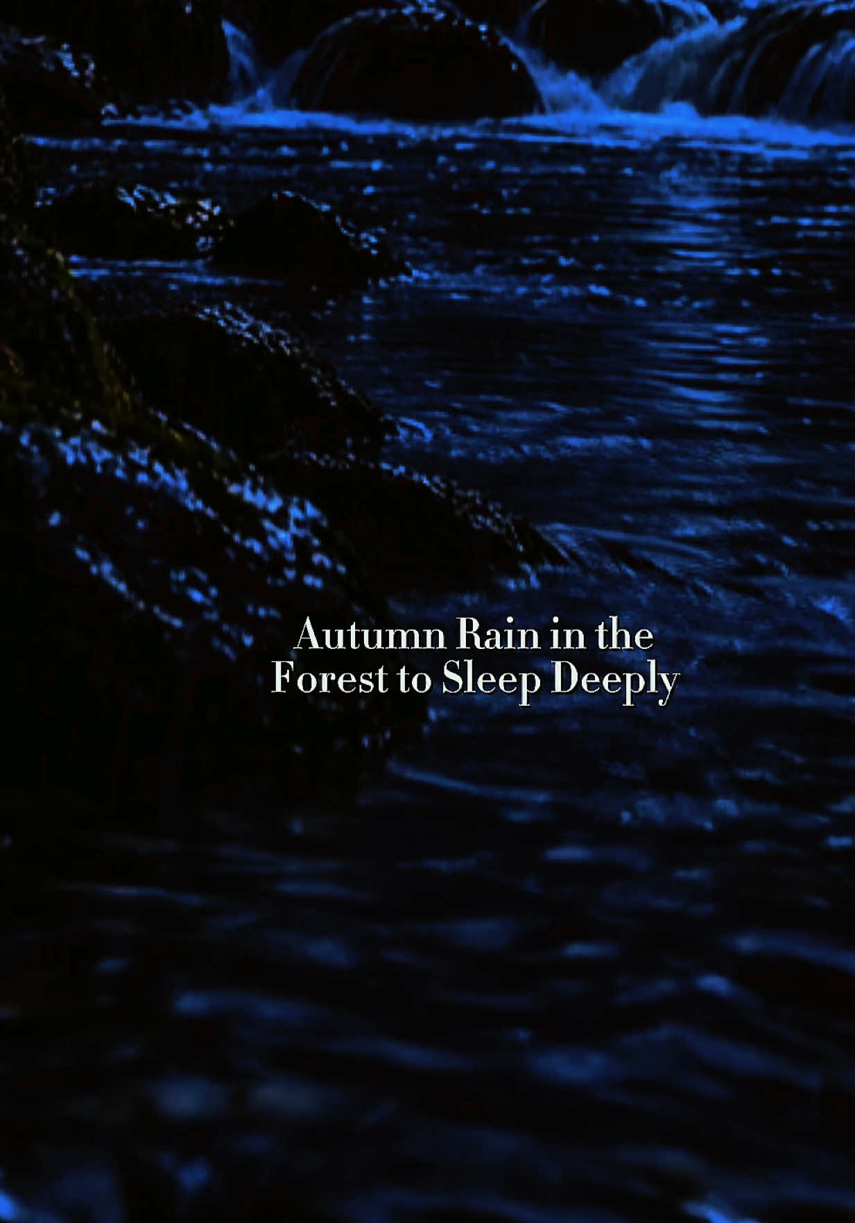 How quickly do you fall asleep with the sound of rain? Tell me in the comments 👇✨ ⁠#rain ⁠#naturesounds ⁠#autum ⁠#deeprelaxation ⁠#whitenoise ⁠⁠ ⁠⁠ ⁠⁠ ⁠⁠ ⁠ 