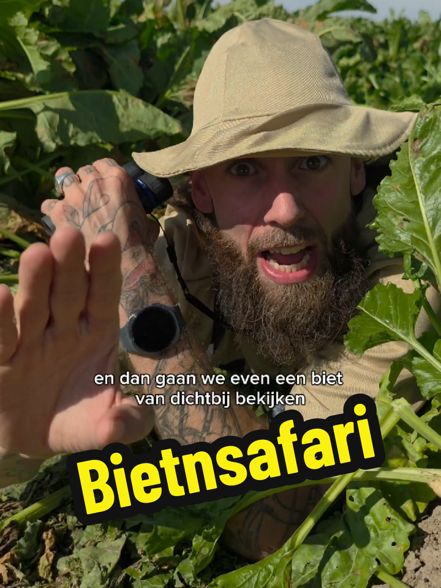 Bietnsafari #bietn