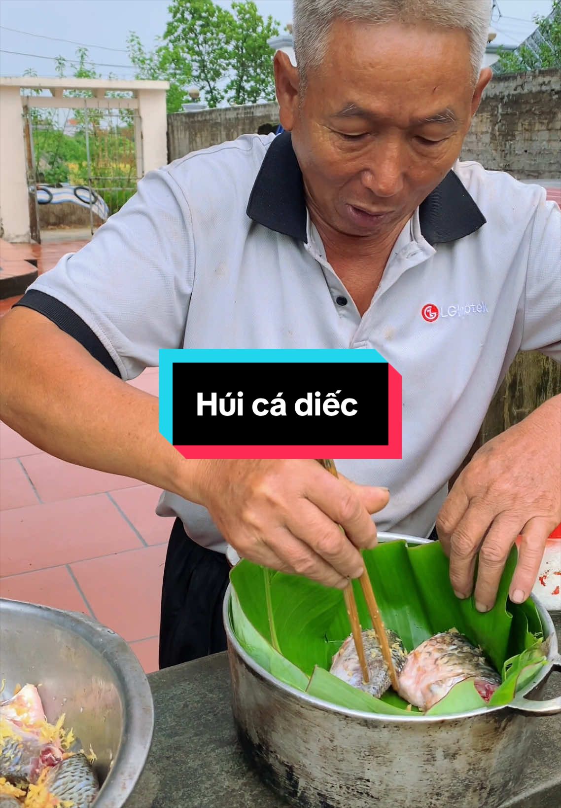 Trời mưa nhà tôi lại húi cá diếc đây các ông bà #ongluonglamnong #lamvuon #nauan #huica #khoca 