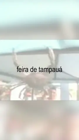Depois de ver isso, qual foi a primeira coisa que passou pela sua cabeça? #suaopiniao #comentaai #tiktokbrasil #viralbrasil #paravoce