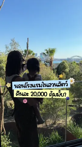 นอนโรงแรมในสวนสัตว์ คืนละ 20,000 แต่สิ่งที่ได้คือการตื่นมาเจอ Koala อยู่หน้าห้อง! 🐨🛌✨ 🎀 แถมท้ายคลิป Koala แอบทำอะไรเซอร์ไพรส์สุดๆ 🎀 ที่นี่คือ Wildlife Retreat at Taronga ที่พักสุดพิเศษใน Taronga Zoo เปิดม่านปุ๊บ มีเจอทั้งโคอาล่า จิงโจ้ และสัตว์ต่างๆ ใน Sanctuary ใกล้ๆ เหมือนได้พักท่ามกลาง Wildlife จริงๆ 🌿🦘 คนที่เข้าพักยังได้เข้า Taronga Zoo พร้อม Sanctuary Tour ชมสัตว์ Australian แบบใกล้ชิด ทั้ง Koala, Echidna, Wallaby และ Bettong 🦔 เหมาะมากสำหรับครอบครัวที่มีเด็กๆ ได้ทั้งเห็นสัตว์จริง เรียนรู้ธรรมชาติ และสนุกกับกิจกรรมต่างๆ นอนท่ามกลางธรรมชาติ ใกล้ชิดสัตว์ ชมวิว Sydney Harbour ครบจบในทริปเดียว 🇦🇺🤍 ใครแพลนเที่ยว Sydney และอยากไปนอนพักแบบไม่เหมือนโรงแรมทั่วไป ปักหมุดที่นี่ไว้เลยค่า! 🐨🦘🌿🛖 #TarongaZoo #WildlifeRetreat #Sydney #Australia #สวนสัตว์ 
