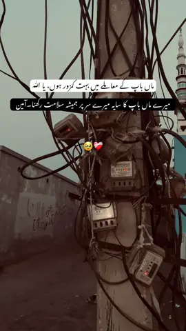 ماں باپ کے معاملے میں بہت کمزور ہوں، یا اللّٰہ میرے ماں باپ کا سایہ میرے س پر ہمیشہ سلامت رکھنا #viral #fypシ #foryoupage 
