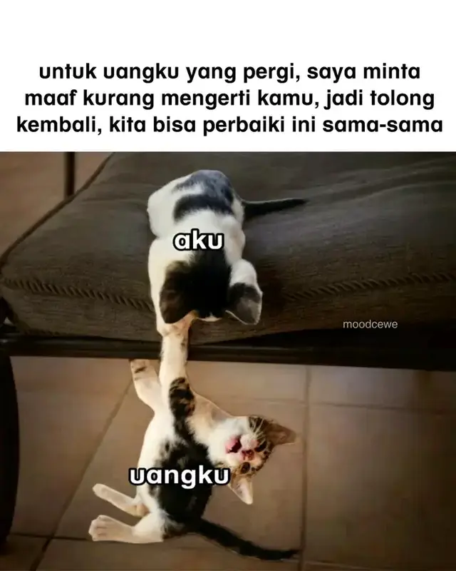 #tiktok #fyp #creatorsearchinsights #sorotan#sorotandunia #fyp #sorotan #kontenviral #kontenhiburan #fyppppppppppppppppppppppp #tiktokviral #catloversworld #jokes #fypシ #tiktoktainment