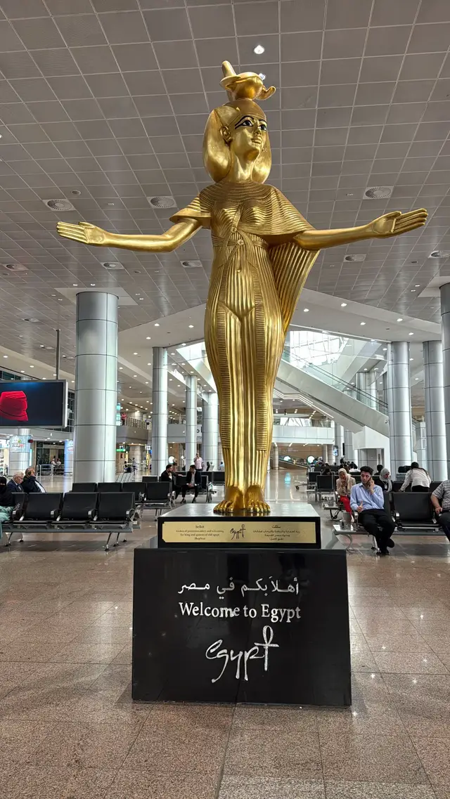 #مصر #القاهرة #الزمالك #التجمع_الخامس #بسكوته 