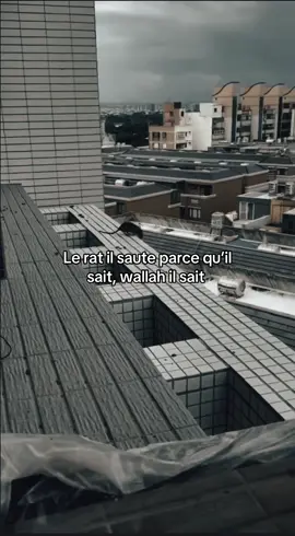Wallah il sait #pourtoi #fyp #fypviralシ #67 #67 