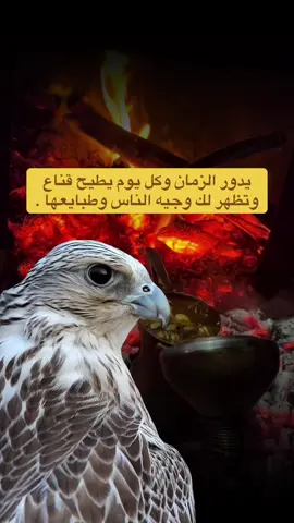 #اكسبلور_شعر_حكم_خواطر 
