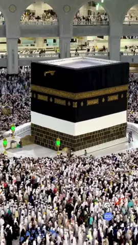 #Mashallah❤️  مدینہ منورہ مدینہ، نبی ﷺ کا شہر، روشن چراغ ایمان کا مینار، جہاں اسلام کی تاریخ کو پرواز ملتی ہے مسجد نبوی، عظمت اور شان کی علامت جہاں نبی محمد ﷺ کا روضہ ایک مقدس منظر ہے شہر کی گلیاں کھجور کے درختوں سے سجی ہوئی ہیں، سبز و بلند ایک پُرسکون نخلستان، جہاں ایمان اور امن دلوں کو مسحور کرتے ہیں مدینہ کی مالا مال تاریخ اور ورثہ چھو کر محسوس ہونے کے قابل ہے ایسا مقام جہاں دنیا بھر سے مسلمان آکر روحانی سکون پاتے ہیں شہر کی گرمجوش مہمان نوازی اور خوش اخلاقی اسے زیارت کی ایسی جگہ بناتی ہے جہاں پہنچنے کے لیے لمبا سفر بھی قابلِ قدر ہے #plztiktokteamdontunderviewmyvideos #foryoupageofficial❤️❤️tiktok 