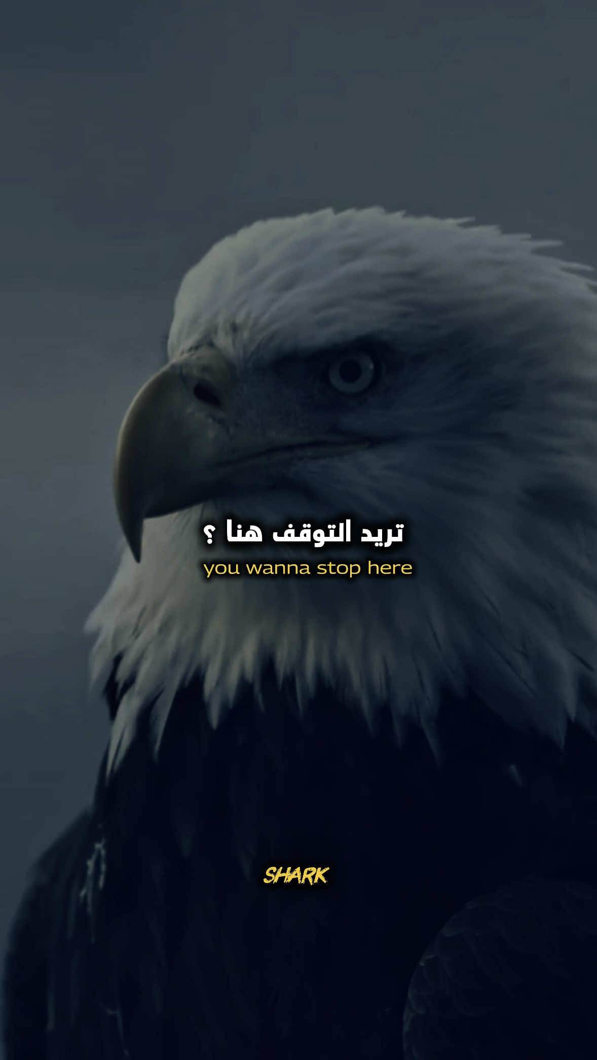 ‏ Keep improving , Build yourself up every day ❤️‍🔥 ‎#تحفيز  #motivation  #inspiration  #success  #viral 