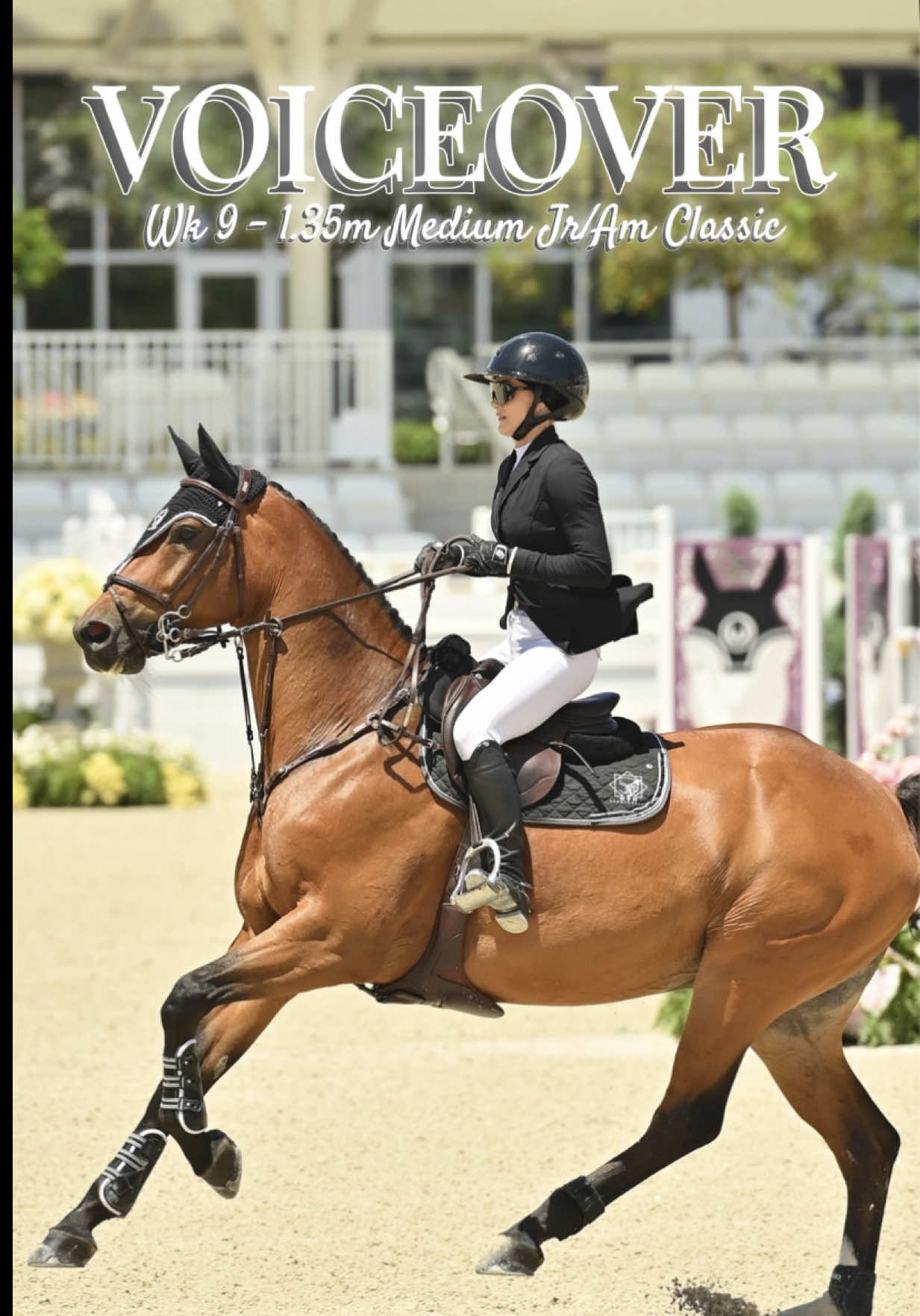WEC pt. 44 | Week 9 : Voiceover - getting vulnerable and keeping it transparent in my first 1.35m Medium Jr/Am Classic with Lucifer JDV “Lux” in the hotel grand arena ❤️ Not every round goes to plan but proud of the fact we finished strong! #voiceover #equestrian #horseshow #showjumping #horse 