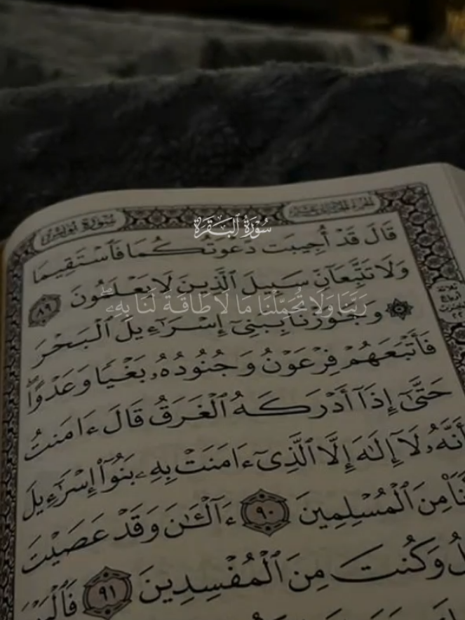 ربنا لاتؤخذنا ان نسينا او اخطأنا#قران_كريم_ارح_سمعك_وقلبك♡ #اكتب_شيء_تؤجر_عليه🌿🕊 #قران_كريم_ارح_سمعك_وقلبك #قران_كريم #قران 