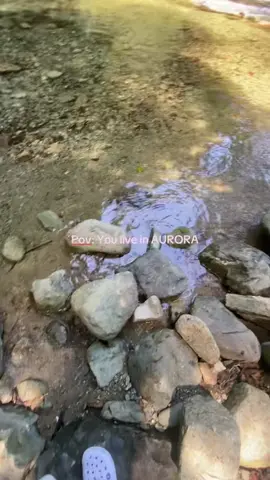 Caunayan fall from Aurora❤️.                     #fyp #nature #aurora #fypシ゚viral #fypシ 