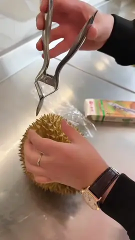 🥭 Tách sầu riêng mà vẫn dùng dao? Bạn đang làm khó chính mình! 😱 Chỉ cần Kim Tách Vỏ Múi Sầu Riêng, việc tách múi trở nên cực nhanh và gọn: ✨ Luồn theo đường múi dễ dàng ✨ Không làm dập cơm sầu riêng ✨ Hạn chế đứt tay so với dùng dao ✨ Phù hợp nhà vườn, quán trái cây và người bán sầu riêng 👉 Tách đẹp – Múi nguyên vẹn – Bán chuyên nghiệp hơn! #KimTachSauRieng #SauRieng #DungCuNongNghiep #DungCuLamVuon #NhaVuon   