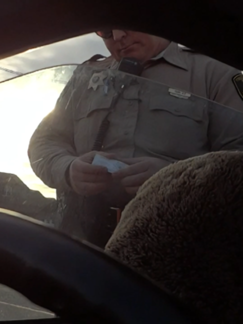 Freeman Pulled Over and Released #cops #police