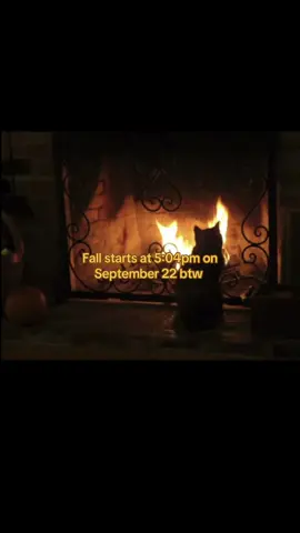 IM SOOO EXCITED #halloweencostume #fall #autumn #fallaesthetic #fypシ 