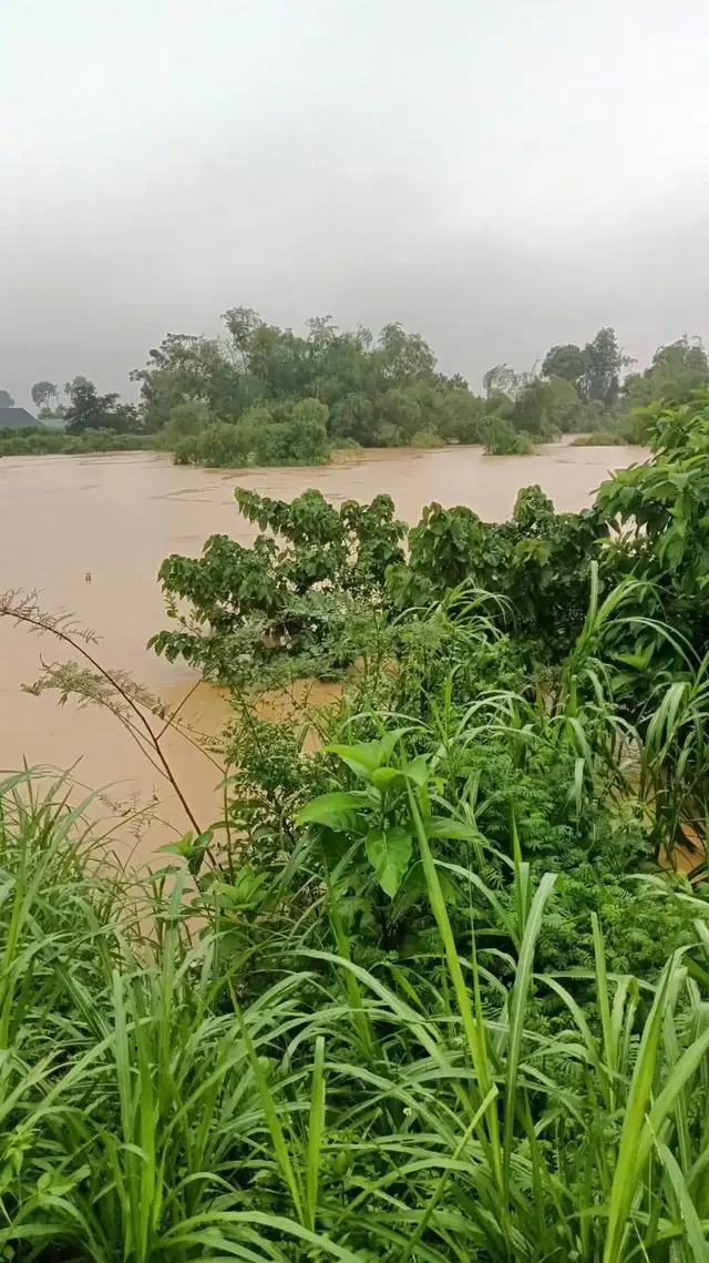 mưa ơi tạnh đi